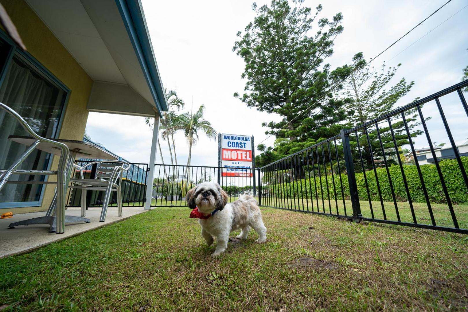 Woolgoolga Coast Motel Bilik gambar